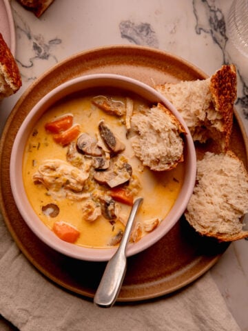 Creamy Chicken Leek and Mushroom Soup.
