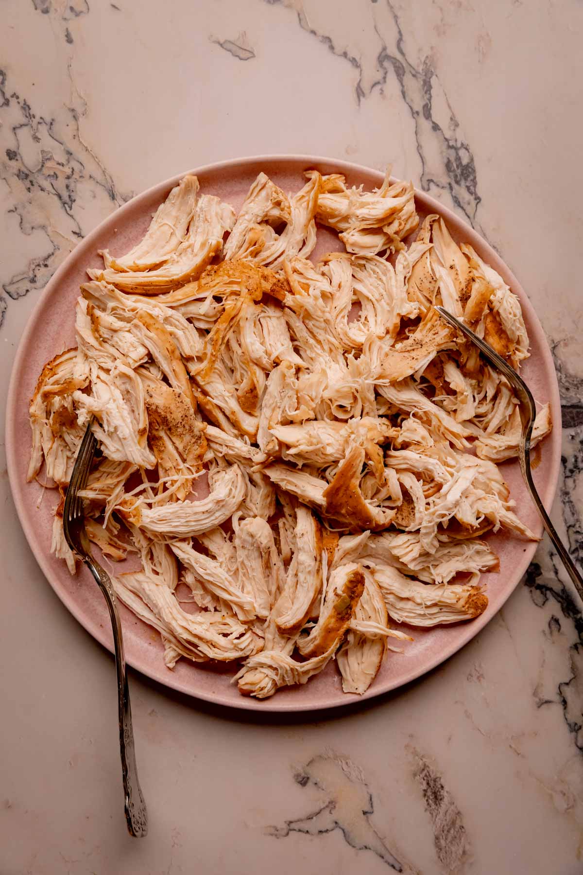 Shredded chicken on a plate with two forks.