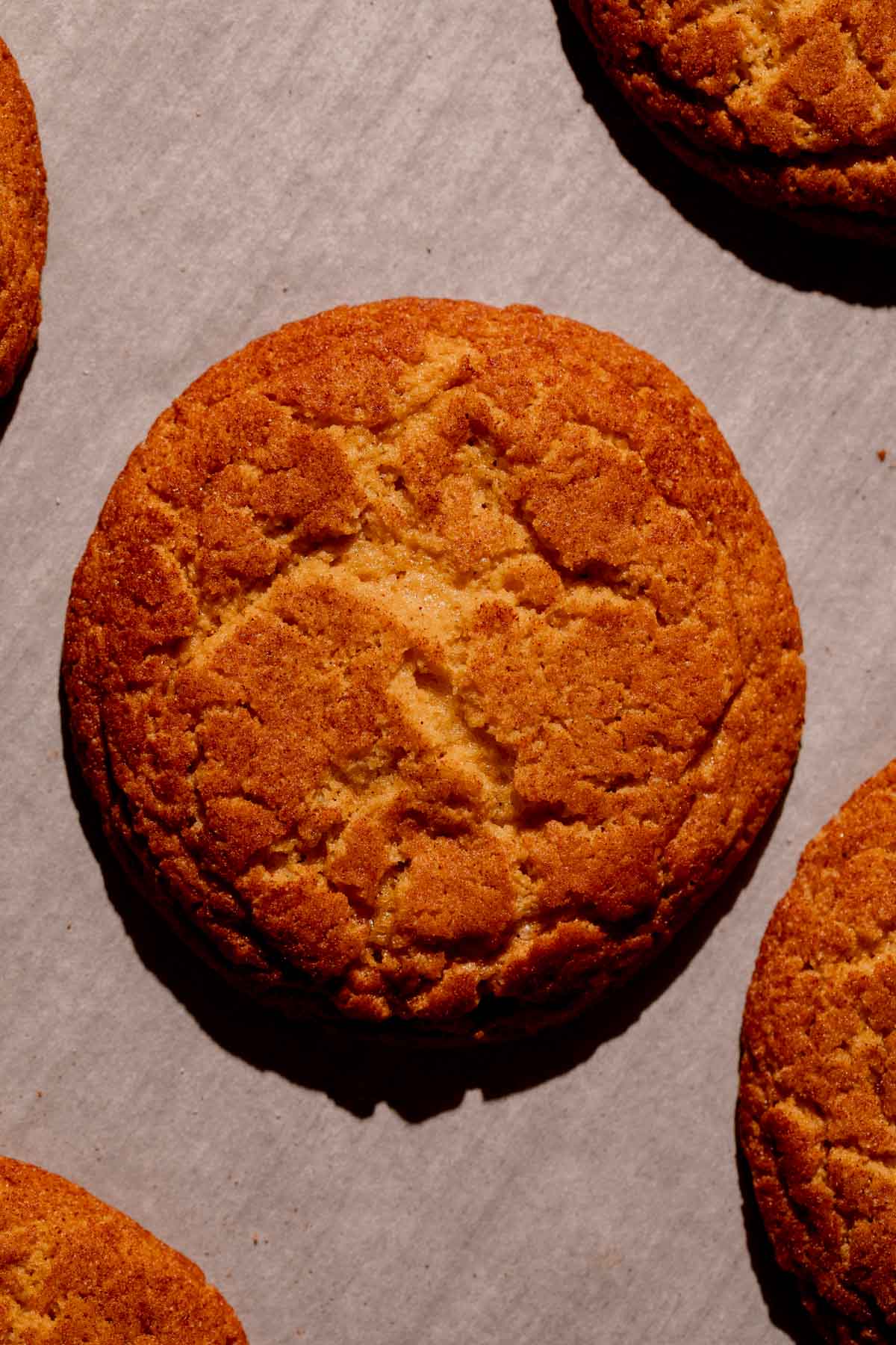 A freshly baked masa harina snickerdoodle cookie.