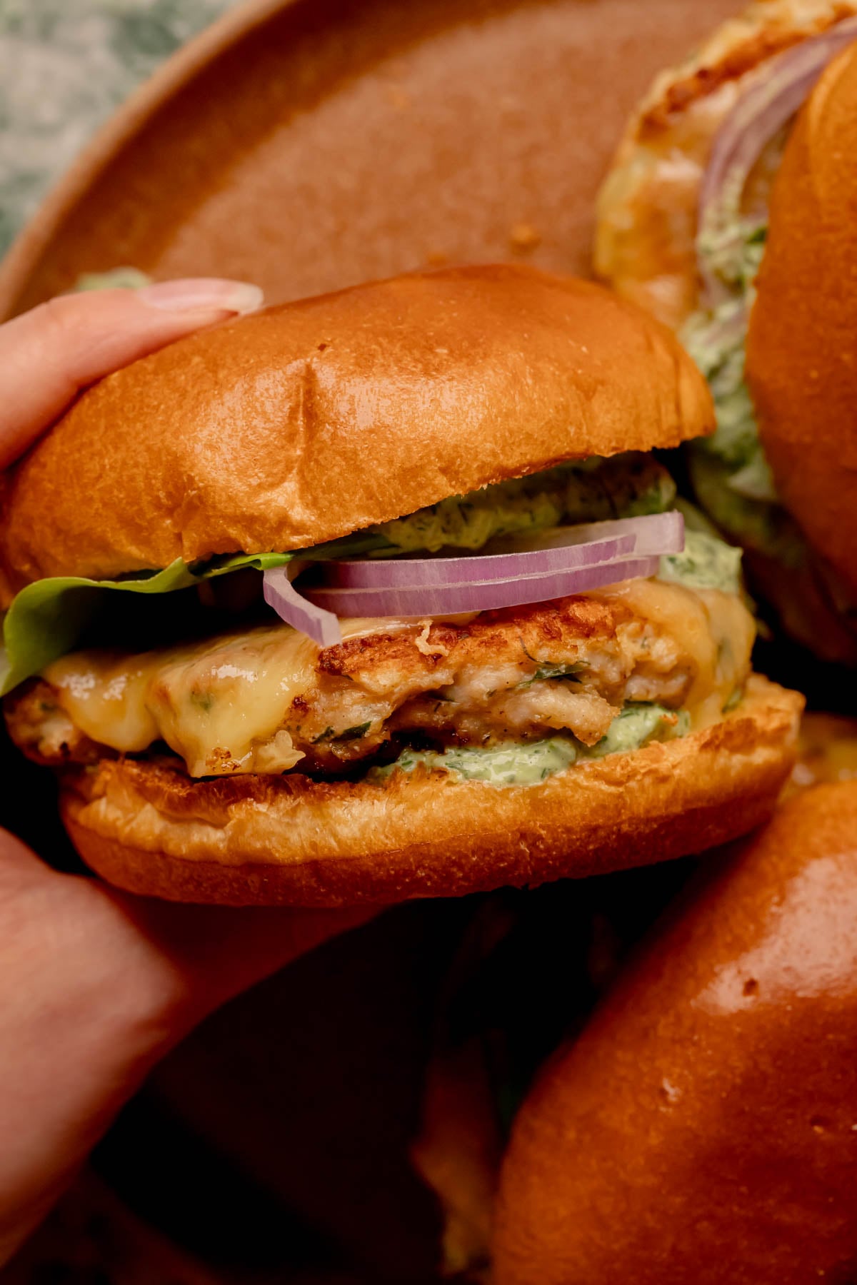 A hand holding an herbed chicken burger.
